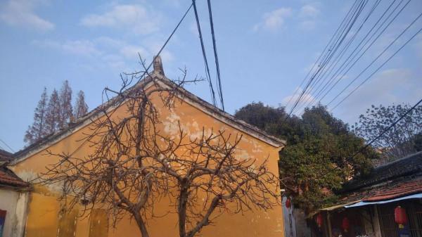 旅遊茶館 | 30 為什麼人到中年需要一次單身旅遊 旅遊茶館 | 30 為什麼人到中年需要一次單身旅遊