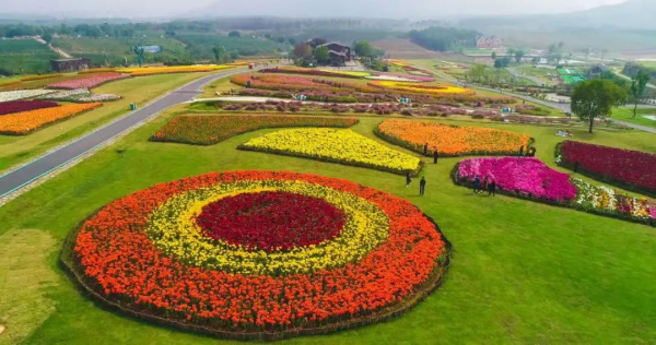 提前預熱第四波——半湯最美秋景 提前預熱第四波——半湯最美秋景