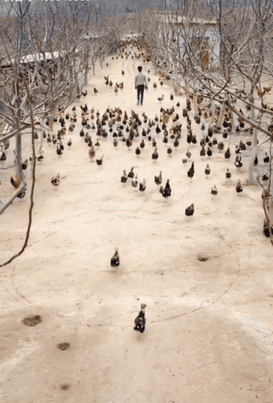 「年終特別策劃」2021年,這些火出圈的人背後,都為了一件事...... 「年終特別策劃」2021年,這些火出圈的人背後,都為了一件事......