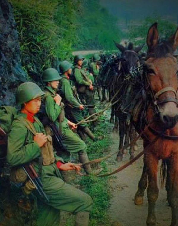 1979年中越戰爭,10位首長的兒子在越南犧牲,他們是誰家好兒郎? 1979年中越戰爭,10位首長的兒子在越南犧牲,他們是誰家好兒郎?