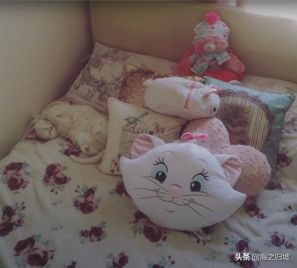 31張“捉迷藏”照片，證明貓咪才是“偽裝大師”，你能找到它嗎？