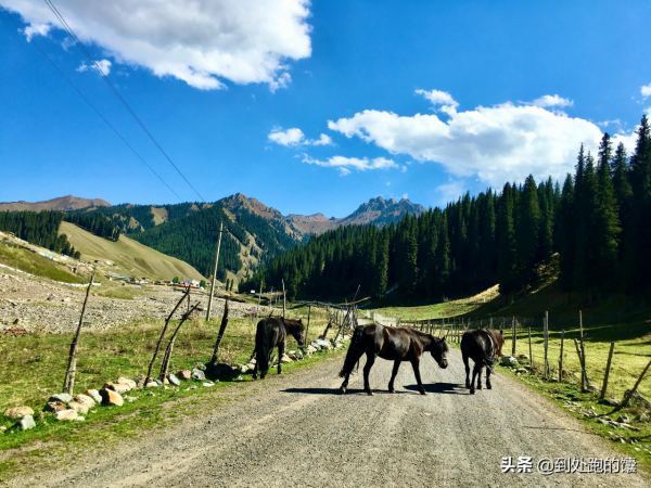 東南溝到後峽的自駕之旅(後峽完美的穿越線路) 東南溝到後峽的自駕之旅(後峽完美的穿越線路)