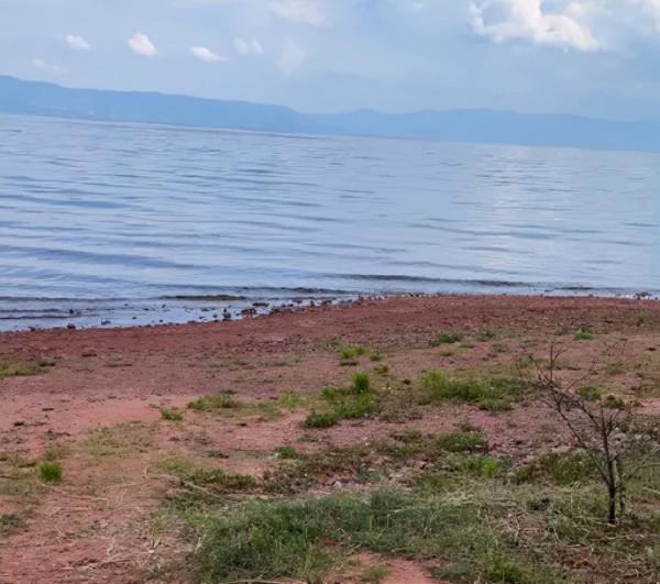 這些所謂的網紅打卡地方,請不要再自欺欺人了 這些所謂的網紅打卡地方,請不要再自欺欺人了