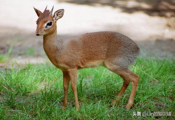 12個冷知識：雖然在生活中偶爾會出現，但是很少有人會注意