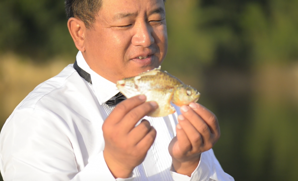 我知道食人魚沒那麼可怕，但不知道它們居然能慫到這個地步