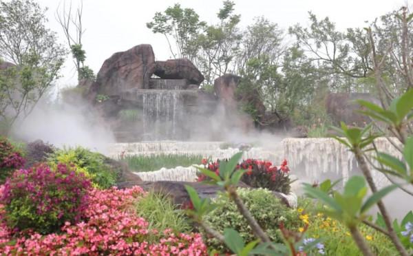 花博記憶丨這是開在記憶深處的一朵花 花博記憶丨這是開在記憶深處的一朵花