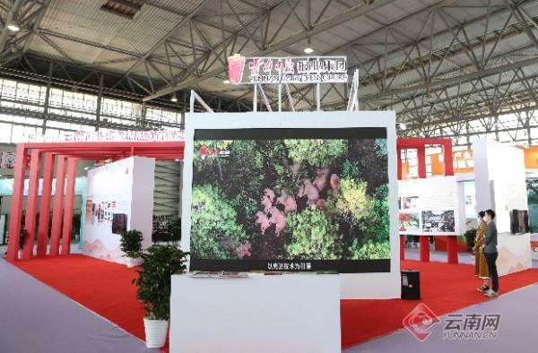 「2021雲南文博會」四家國有文化企業展現國資國企擔當 「2021雲南文博會」四家國有文化企業展現國資國企擔當