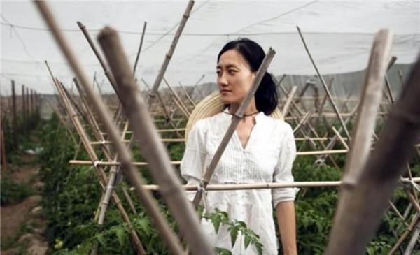 種地年入800萬?清華女博士後石嫣,用13年解鎖中國人種地新模式 種地年入800萬?清華女博士後石嫣,用13年解鎖中國人種地新模式