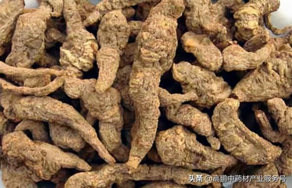 高鵬說藥材:近期部分熱點品種行情分析 高鵬說藥材:近期部分熱點品種行情分析