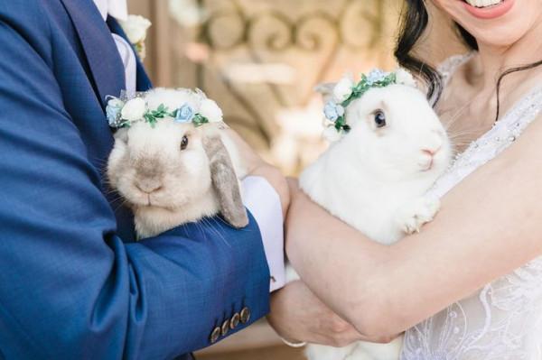 總有一些騙你養寵物的時刻