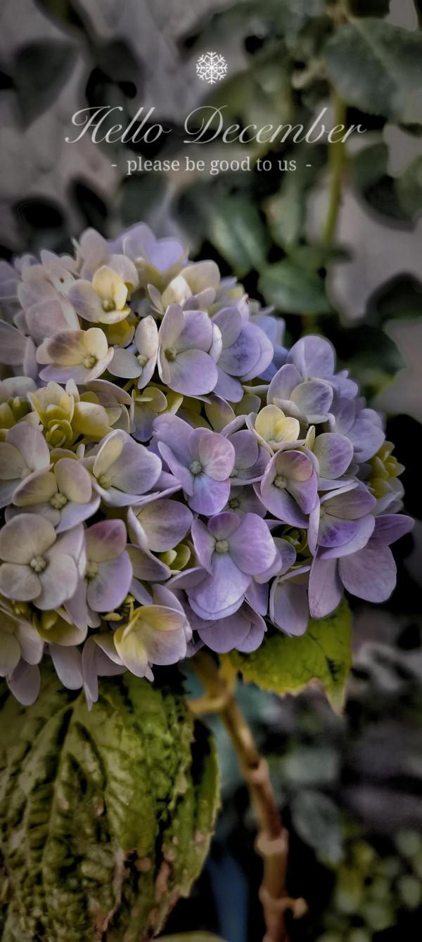 慢品人間煙火色，閒觀萬事歲月長