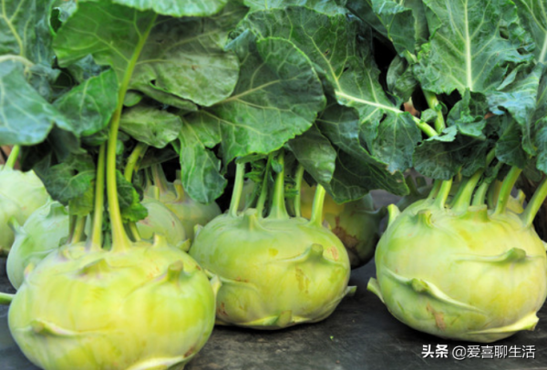 數九寒天別總吃大魚大肉,這6款鹼性食物要常吃,溫暖過冬身體好 數九寒天別總吃大魚大肉,這6款鹼性食物要常吃,溫暖過冬身體好