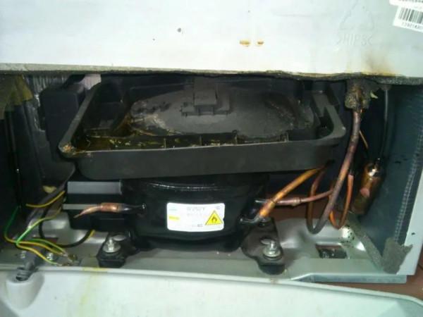 冰箱出現漏水結冰，都是這些地方出現了問題，給大家詳細介紹