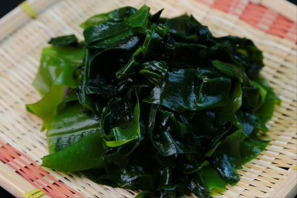 廣東人做湯有一手,連豆腐湯都好喝,湯汁濃白,不放雞精也很鮮 廣東人做湯有一手,連豆腐湯都好喝,湯汁濃白,不放雞精也很鮮