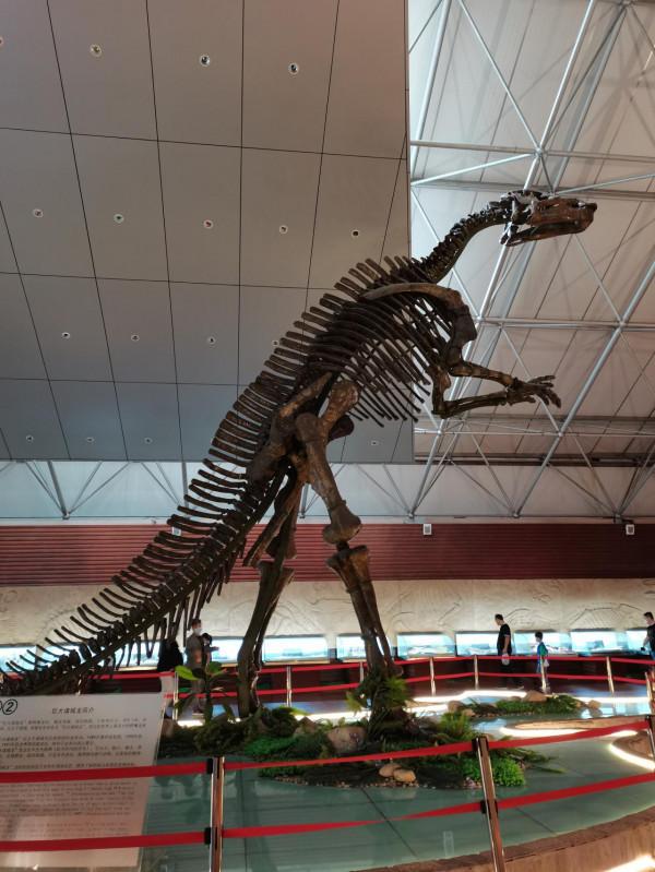 諸城恐龍博物館之旅