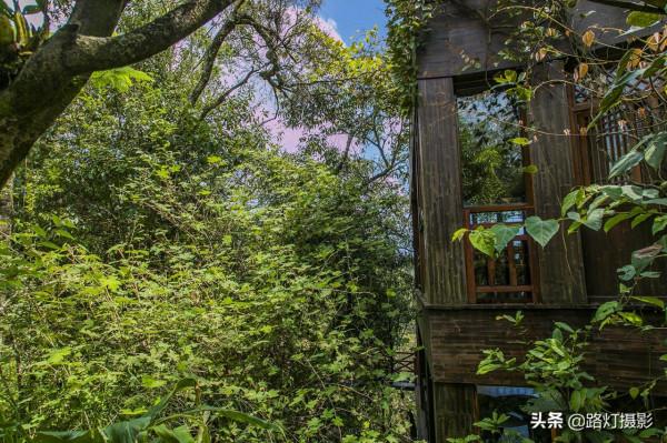 世界春城排行榜,中國8城市入圍,雲南省為什麼能獨佔6城? 世界春城排行榜,中國8城市入圍,雲南省為什麼能獨佔6城?