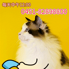 淇言“奇”語丨冬季來臨,預防燙傷這樣做 淇言“奇”語丨冬季來臨,預防燙傷這樣做