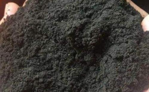 雞糞在以前可以隨便使用,為什麼到了今日成為經濟作物的災難? 雞糞在以前可以隨便使用,為什麼到了今日成為經濟作物的災難?