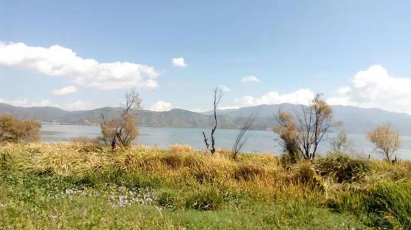 葉少芳·從沙坪鎮到雙廊