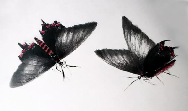 齊白石筆下的飛蟲,精細之極 齊白石筆下的飛蟲,精細之極