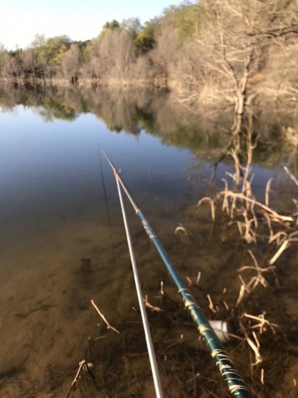 「十週年」秋冬野河垂釣,技巧方法要掌握,今日鯽魚連竿浮漂棄河 「十週年」秋冬野河垂釣,技巧方法要掌握,今日鯽魚連竿浮漂棄河