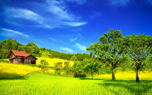 我在傳銷的那些日子裡（五）一步一步入坑