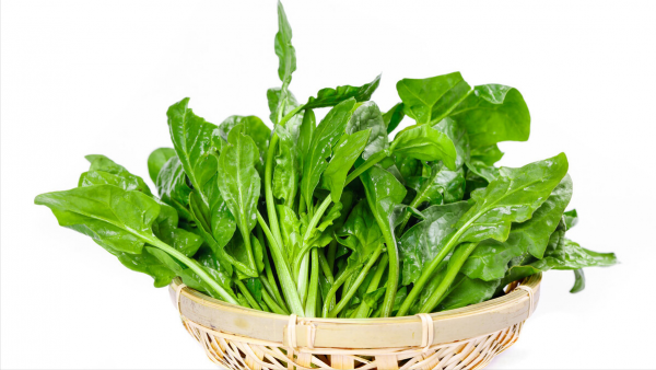 立春後要常吃這6種菜,跟著季節吃時令,古人的養生智慧要善用 立春後要常吃這6種菜,跟著季節吃時令,古人的養生智慧要善用