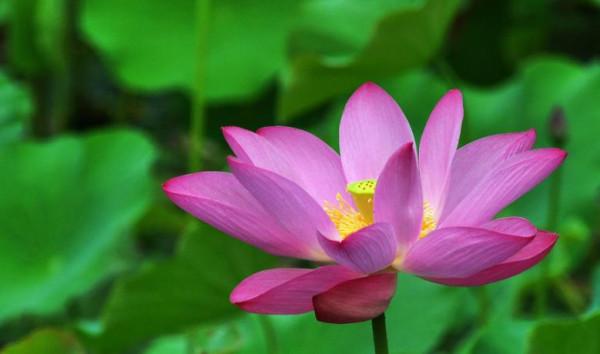 人生的退路，都是&OpenCurlyDoubleQuote;預留&rdquo;的