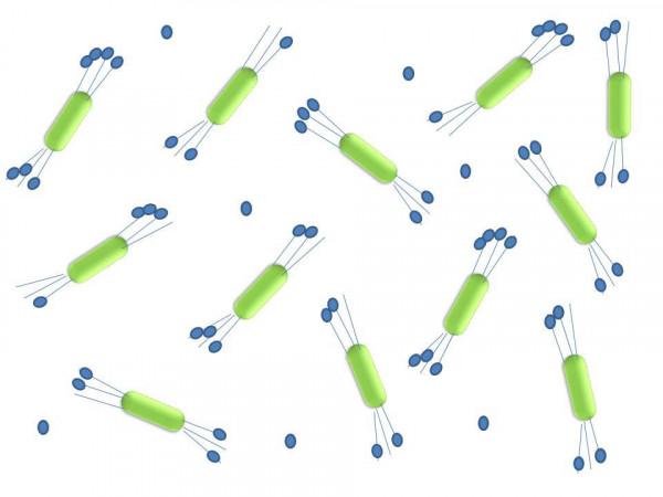 “多毛奈米晶體”可以幫助減少癌症藥物的副作用