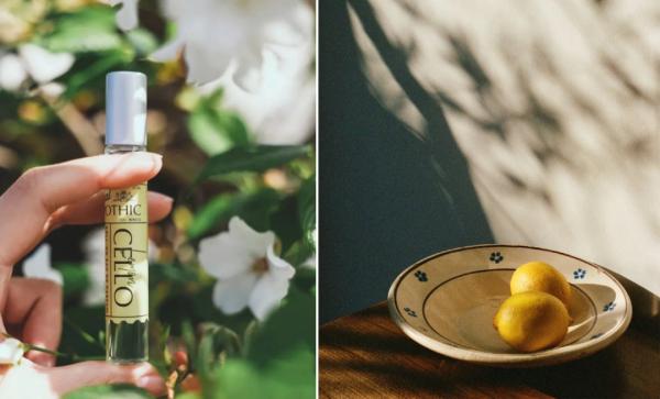 讓法國女人甘拜下風的氣質,都在這瓶寶藏香水!連貝嫂都狂打call 讓法國女人甘拜下風的氣質,都在這瓶寶藏香水!連貝嫂都狂打call