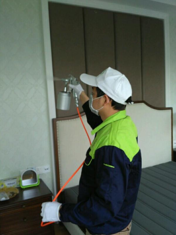 最容易毀掉新家的“毒藥”,不是關門窗,而是物理除甲醛的方式 最容易毀掉新家的“毒藥”,不是關門窗,而是物理除甲醛的方式