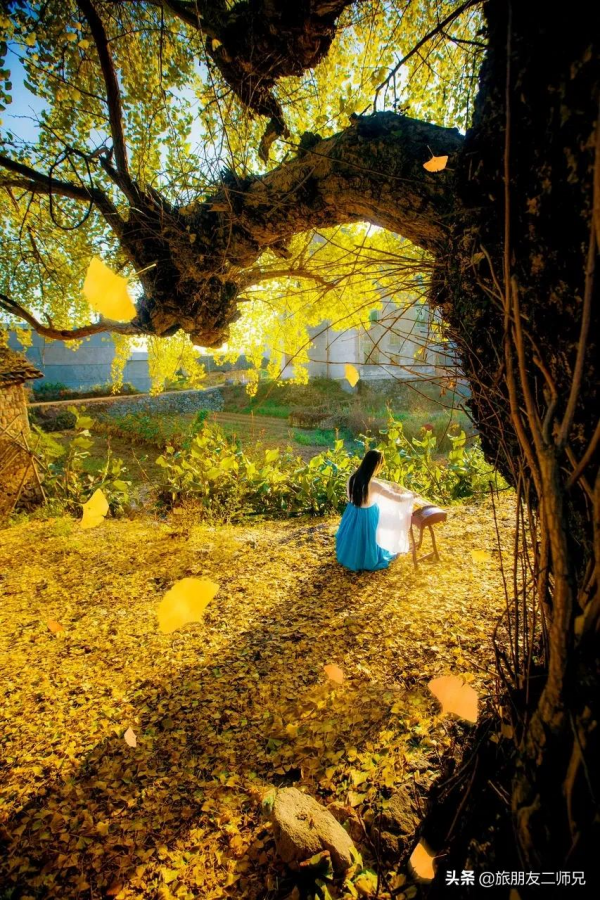 廣州出發-雲冰山+筆架山2天遊｜乘綠皮火車遊銀杏村