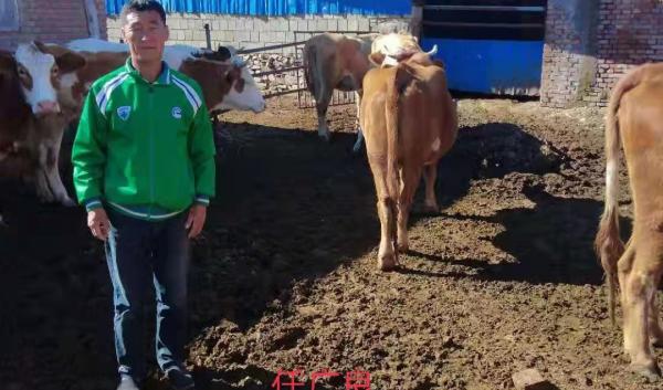 “鄉村振興，萬戶建立”——“農創杯”肉牛養殖科技示範戶已經產生啦！