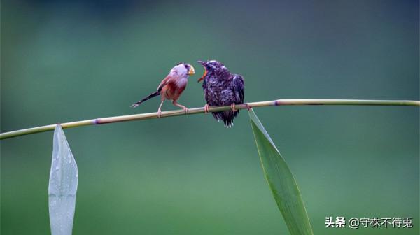 22個冷知識：真實存在著，雖然有趣但是很少有機會使用的獵奇知識