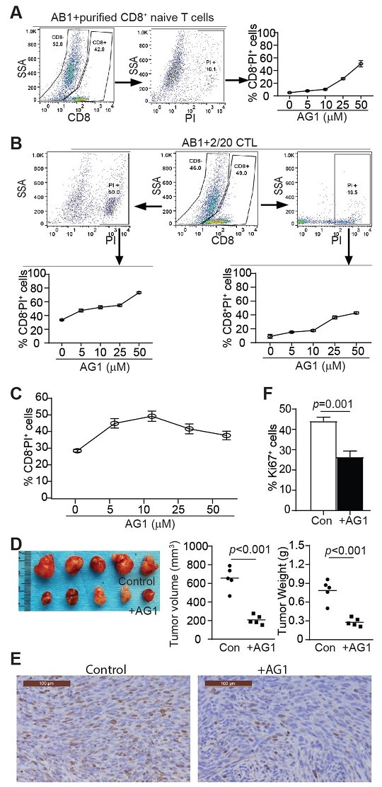 天津大學生命科學學院呂春婉團隊JITC發文：破解調控T細胞功能的代謝檢查點