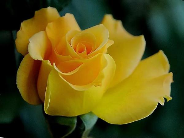 《易經》第二卦:坤 《易經》第二卦:坤