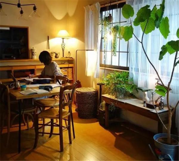 日本53歲阿姨偏愛綠植，用各種花朵植物裝點室內，網友：唯美治癒