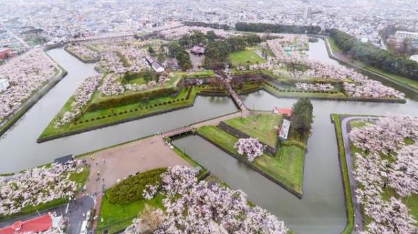 歷史上真正的《銀魂》真選組！！從浪人武士到悲劇英雄的不歸之路