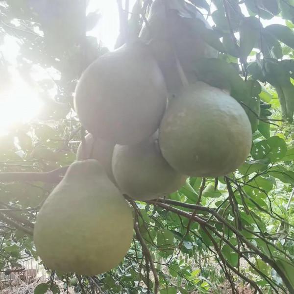 不要透支你和任何人的關係