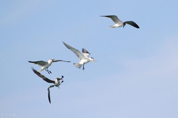 全世界60個國家的珍稀國寶