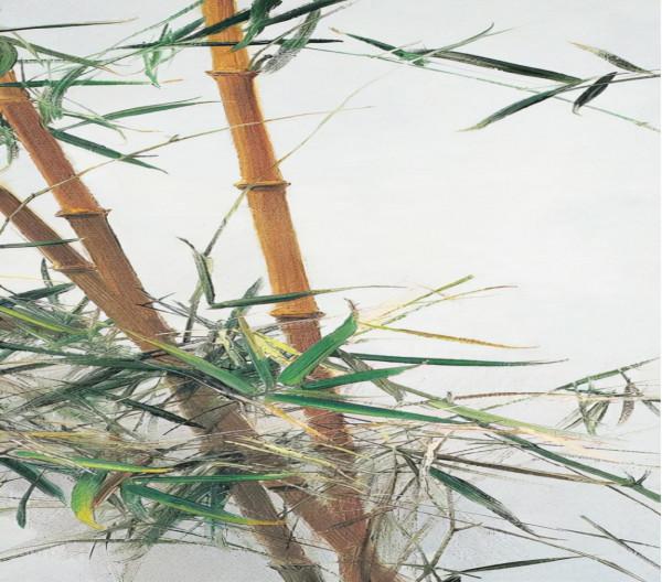 冷軍：用油畫畫竹子，我是第一人，中國人沒人畫過，西方人不會畫