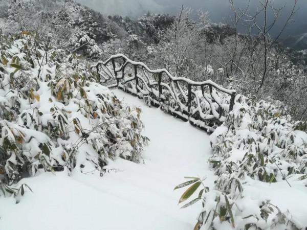 巴山大峽谷羅盤頂下大雪了，快來看被暫停住的美吧