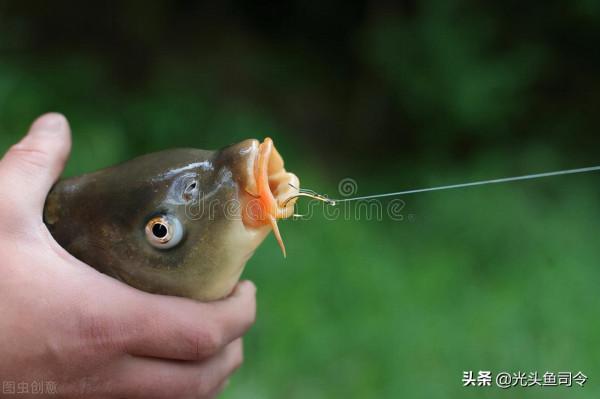 混跡釣魚圈多年,這9個術語,你知道幾個? 混跡釣魚圈多年,這9個術語,你知道幾個?