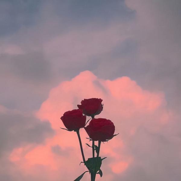 人生只有一次，別活得太累