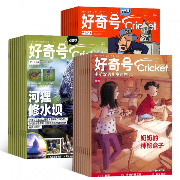不要把孩子的知識黃金期,耗費在低層次的閱讀上 不要把孩子的知識黃金期,耗費在低層次的閱讀上