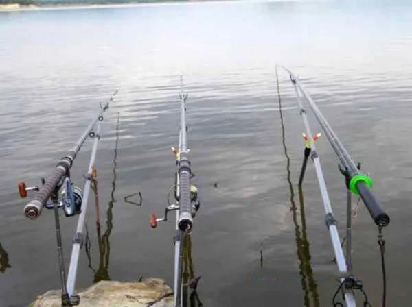 浮漂表達出來魚的吃口弱,是哪些原因造成的?我們怎麼解決? 浮漂表達出來魚的吃口弱,是哪些原因造成的?我們怎麼解決?