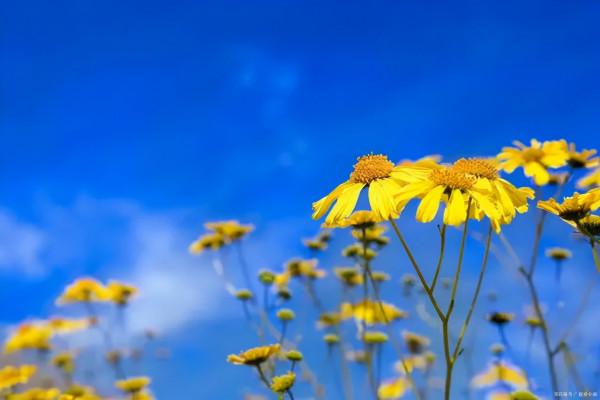 愛上閱讀 是一輩子的享受