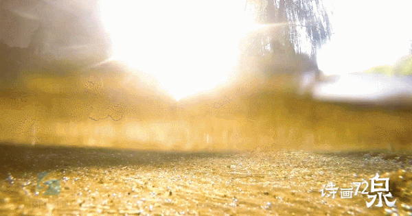 聽濟南琵琶泉,太治癒了 聽濟南琵琶泉,太治癒了