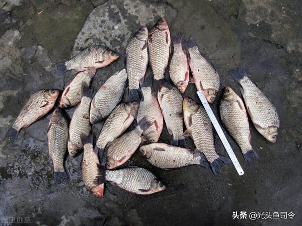 發小撿了只浮漂,前前後後花了1萬多,被嘲笑至今 發小撿了只浮漂,前前後後花了1萬多,被嘲笑至今