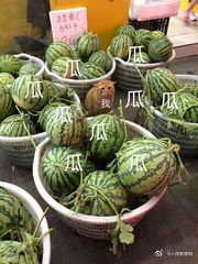 糖尿病患者怎麼吃最科學 糖尿病患者怎麼吃最科學